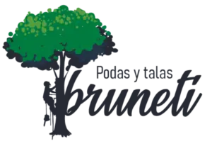 Tala y poda de ÁVILA